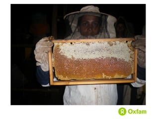 Women economic leadership through honey value chain development in Ethiopia 