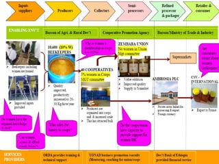 Women economic leadership through honey value chain development in Ethiopia 