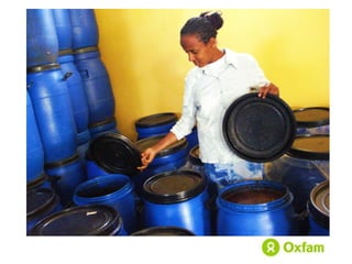 Women economic leadership through honey value chain development in Ethiopia 