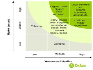 Women economic leadership through honey value chain development in Ethiopia 