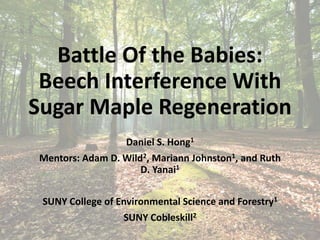 Battle Of the Babies:
Beech Interference With
Sugar Maple Regeneration
Daniel S. Hong1
Mentors: Adam D. Wild2, Mariann Johnston1, and Ruth
D. Yanai1
SUNY College of Environmental Science and Forestry1
SUNY Cobleskill2
 