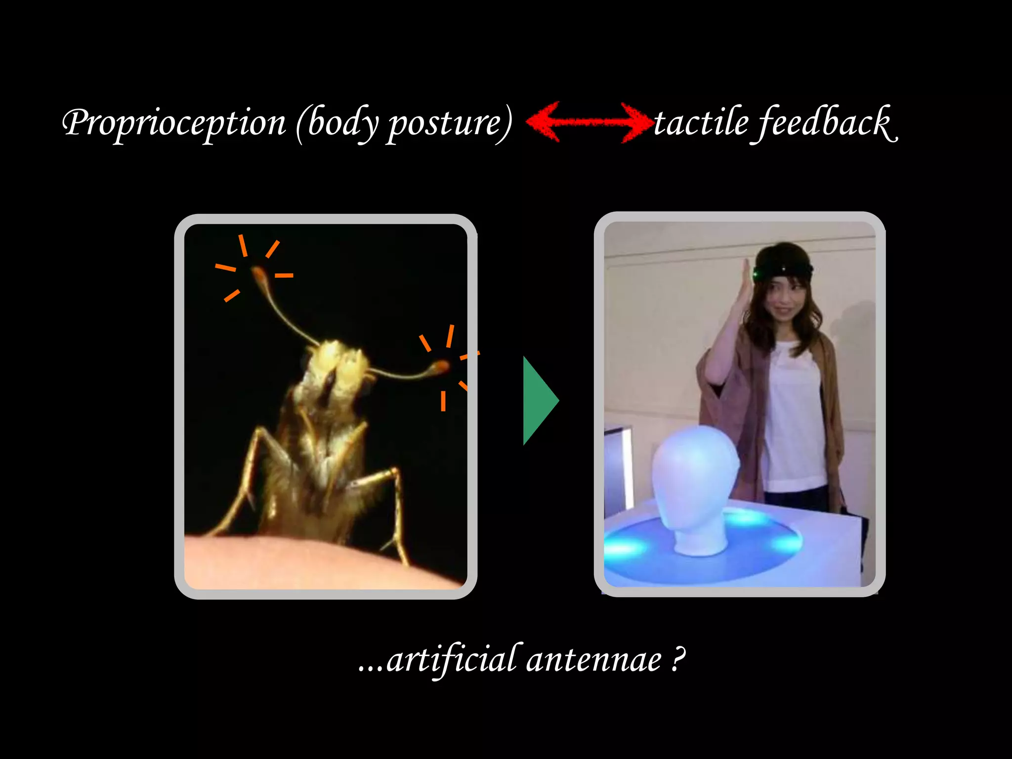 ...artificial antennae ?
Proprioception (body posture) tactile feedback
 