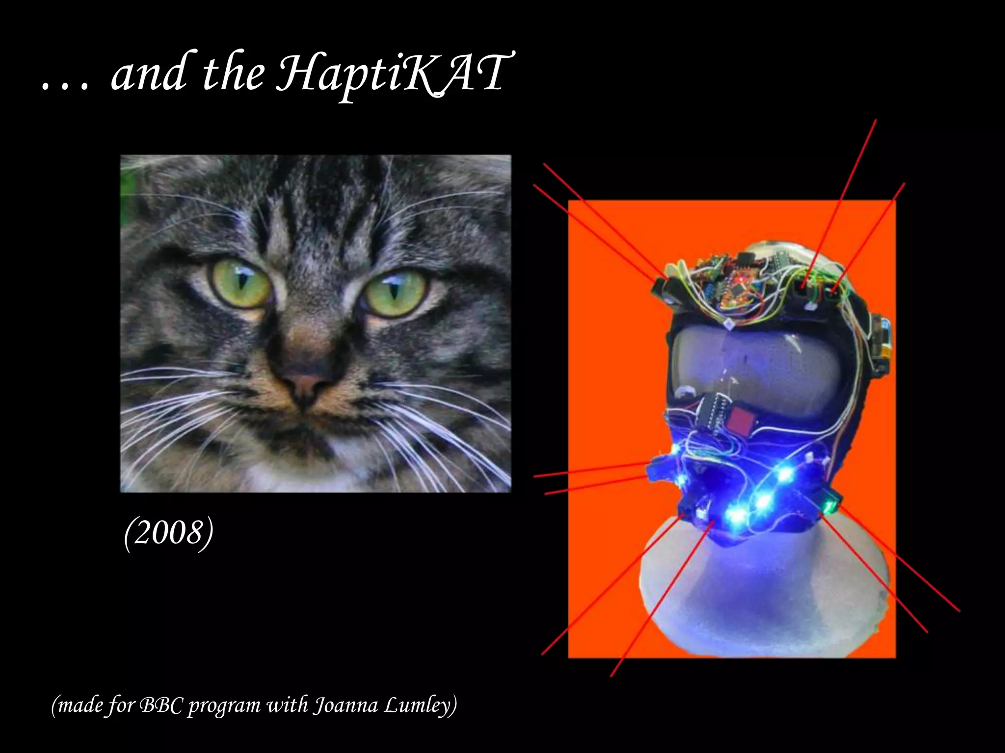 … and the HaptiKAT
(2008)
(made for BBC program with Joanna Lumley)
 