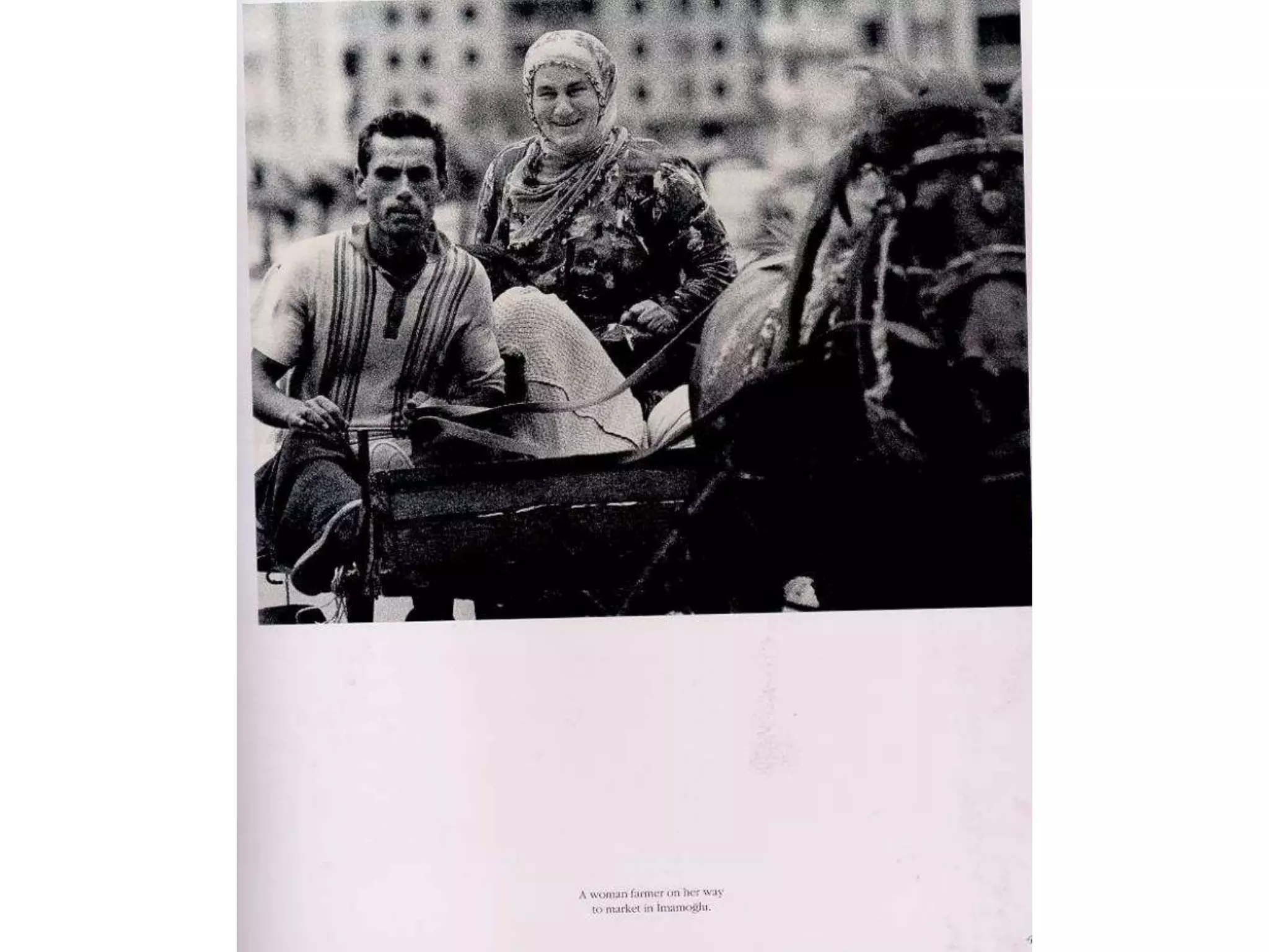 Hong Konglu Fotoğrafçı Gözüyle Türkler