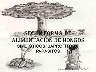 Según forma de alimentacion DE HONGOSSIMBIOTICOS, SAPROFITOS YPARASITOS