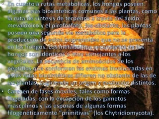 En cuanto a rutas metabólicas, los hongos poseen algunas vías biosintéticas comunes a las plantas, como la ruta de síntesis de terpenos a través del ácido mevalónico y el pirofosfato. No obstante, las plantas poseen una segunda vía metabólica para la producción de estos isoprenoides que no se presenta en los hongos. Los metabolitos secundarios de los hongos son idénticos o muy semejantes a los vegetales. La secuencia de aminoácidos de los péptidos que conforman las enzimas involucradas en estas rutas biosintéticas difieren no obstante de las de las plantas, sugiriendo un origen y evolución distintos.Carecen de fases móviles, tales como formas flageladas, con la excepción de los gametos masculinos y las esporas de algunas formas filogenéticamente “primitivas” (los Chytridiomycota).