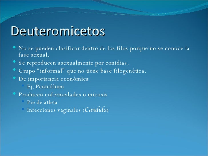 DEUTEROMICETOS CARACTERISTICAS PDF