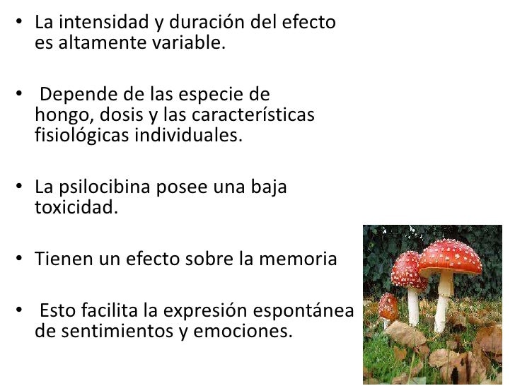 Que curar el hongo de la suela de los pies