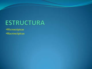 •Microscópicas
•Macroscópicas
 