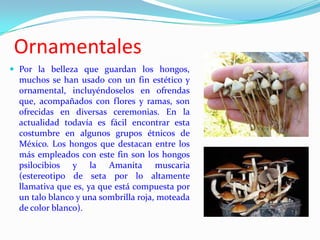 Ornamentales
 Por la belleza que guardan los hongos,
  muchos se han usado con un fin estético y
  ornamental, incluyéndoselos en ofrendas
  que, acompañados con flores y ramas, son
  ofrecidas en diversas ceremonias. En la
  actualidad todavía es fácil encontrar esta
  costumbre en algunos grupos étnicos de
  México. Los hongos que destacan entre los
  más empleados con este fin son los hongos
  psilocibios y la Amanita muscaria
  (estereotipo de seta por lo altamente
  llamativa que es, ya que está compuesta por
  un talo blanco y una sombrilla roja, moteada
  de color blanco).
 