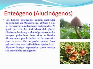 Enteógeno (Alucinógenos)
 Los hongos enteógenos cobran particular
  importancia en Mesoamérica, debido a que
  se encuentran ampliamente distribuidos. Al
  igual que con los individuos del género
  Claviceps, los hongos alucinógenos como los
  hongos psilocibios han sido utilizados
  últimamente por la industria farmacéutica
  para la extracción de productos con fines
  psicoterapéuticos (psilocibinas y psilocinas).
  Algunos hongos reportados como tóxicos
  son en realidad enteógenos.
 