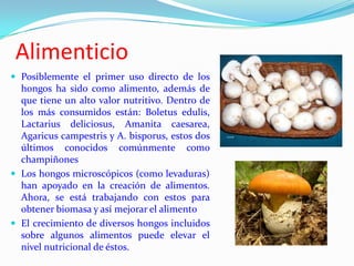 Alimenticio
 Posiblemente el primer uso directo de los
  hongos ha sido como alimento, además de
  que tiene un alto valor nutritivo. Dentro de
  los más consumidos están: Boletus edulis,
  Lactarius deliciosus, Amanita caesarea,
  Agaricus campestris y A. bisporus, estos dos
  últimos conocidos comúnmente como
  champiñones
 Los hongos microscópicos (como levaduras)
  han apoyado en la creación de alimentos.
  Ahora, se está trabajando con estos para
  obtener biomasa y así mejorar el alimento
 El crecimiento de diversos hongos incluidos
  sobre algunos alimentos puede elevar el
  nivel nutricional de éstos.
 