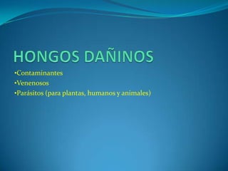 •Contaminantes
•Venenosos
•Parásitos (para plantas, humanos y animales)
 