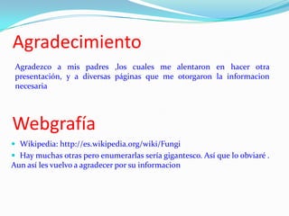 Agradecimiento
 Agradezco a mis padres ,los cuales me alentaron en hacer otra
 presentación, y a diversas páginas que me otorgaron la informacion
 necesaria




Webgrafía
 Wikipedia: http://es.wikipedia.org/wiki/Fungi
 Hay muchas otras pero enumerarlas sería gigantesco. Así que lo obviaré .
Aun así les vuelvo a agradecer por su informacion
 