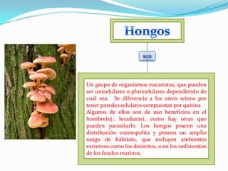 son




Un grupo de organismos eucariotas, que pueden
ser unicelulares o pluricelulares dependiendo de
cual sea. Se diferencia a los otros reinos por
tener paredes celulares compuestas por quitina
Algunos de ellos son de uso beneficios en el
hombre(ej.: levaduras), como hay otras que
pueden parasitarlo. Los hongos poseen una
distribución cosmopolita y poseen un amplio
rango de hábitats, que incluyen ambientes
extremos como los desiertos, o en los sedimentos
de los fondos marinos.
 