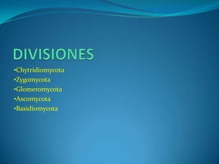 •Chytridiomycota
•Zygomycota
•Glomeromycota
•Ascomycota
•Basidiomycota
 