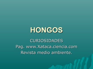 HONGOS
      CURIOSIDADES
Pag. www.Xataca.ciencia.com
  Revista medio ambiente.
 