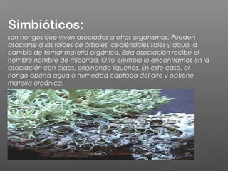 Simbióticos:
son hongos que viven asociados a otros organismos. Pueden
asociarse a las raíces de árboles, cediéndoles sales y agua, a
cambio de tomar materia orgánica. Esta asociación recibe el
nombre nombre de micorriza. Otro ejemplo lo encontramos en la
asociación con algas, originando líquenes. En este caso, el
hongo aporta agua o humedad captada del aire y obtiene
materia orgánica.
 