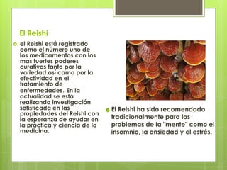 El Reishi
 el Reishi está registrado
como el número uno de
los medicamentos con los
mas fuertes poderes
curativos tanto por la
variedad así como por la
efectividad en el
tratamiento de
enfermedades. En la
actualidad se está
realizando investigación
sofisticada en las
propiedades del Reishi con
la esperanza de ayudar en
la práctica y ciencia de la
medicina.
El Reishi ha sido recomendado
tradicionalmente para los
problemas de la "mente" como el
insomnio, la ansiedad y el estrés.
 