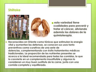 Shiitake
 Reconocidos en Oriente como tónicos que estimulan la energía
vital y aumentan las defensas. se conocen sus usos tanto
preventivos como curativos de una serie de
dolencias, complementando con éxito tratamientos médicos
tradicionales. La proporción de los nutrientes presentes se
acerca a la ideal recomendada para todas las comidas, lo que
lo convierte en un complemento insustituible y algunos lo
consideran un muy buen sustituto de la carne, junto con una
comida completa y equilibrada.
esta variedad tiene
cualidades para prevenir y
tratar el cáncer, aliviando
además los dolores de la
quimioterapia.
 