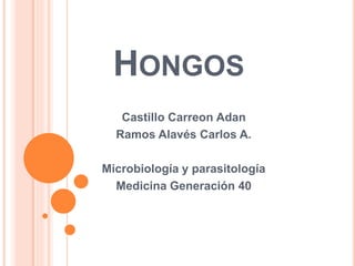 HONGOS
Castillo Carreon Adan
Ramos Alavés Carlos A.
Microbiología y parasitología
Medicina Generación 40
 