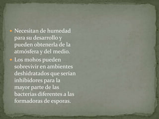  Necesitan de humedad 
para su desarrollo y 
pueden obtenerla de la 
atmósfera y del medio. 
 Los mohos pueden 
sobrevivir en ambientes 
deshidratados que serían 
inhibidores para la 
mayor parte de las 
bacterias diferentes a las 
formadoras de esporas. 
 