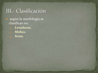 según la morfología se 
clasifican en: 
1. Levaduras. 
2. Mohos. 
3. Setas. 
 