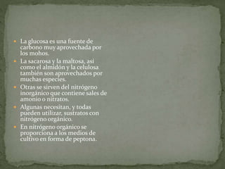  La glucosa es una fuente de 
carbono muy aprovechada por 
los mohos. 
 La sacarosa y la maltosa, así 
como el almidón y la celulosa 
también son aprovechados por 
muchas especies. 
 Otras se sirven del nitrógeno 
inorgánico que contiene sales de 
amonio o nitratos. 
 Algunas necesitan, y todas 
pueden utilizar, sustratos con 
nitrógeno orgánico. 
 En nitrógeno orgánico se 
proporciona a los medios de 
cultivo en forma de peptona. 
 
