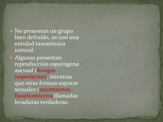  No presentan un grupo 
bien definido, no son una 
entidad taxonómica 
natural. 
 Algunas presentan 
reproducción esporógena 
asexual (hongos 
imperfectos), mientras 
que otras forman esporas 
sexuales (ascomicetos, 
Basidiomicetos)llamadas 
levaduras verdaderas. 
 