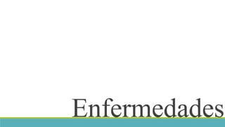 Enfermedades 
 