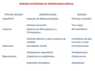 HONGOS PATÓGENOS DE IMPORTANCIA MÉDICA
TIPO DE MICOSIS AGENTECAUSAL MICOSIS
Superficial Especies de Malassezia furfur
Hortaea werneckii
Pitiriasis versicolor
Tina negra
Cutánea Especies de Microsporum, y
Trichophyton
Candida albicans y otras especies de
candida
Dermatofitosis
Candidiasis de piel,
mucosas o uñas
Sistémicas Coccidiodes inmitis
Histoplasma capsulatum
Coccidiomicosis
Histoplasmosis
Oportunistas Cryptococcus neoformans
Aspergillus fumigatus
Criptococosis
Aspergilosis
 