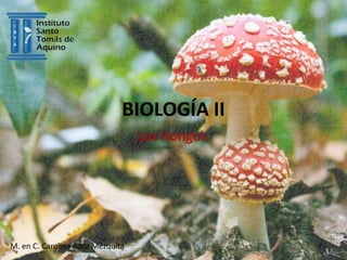 BIOLOGÍA II
Los hongos
M. en C. Carolina Roca Mézquita
 