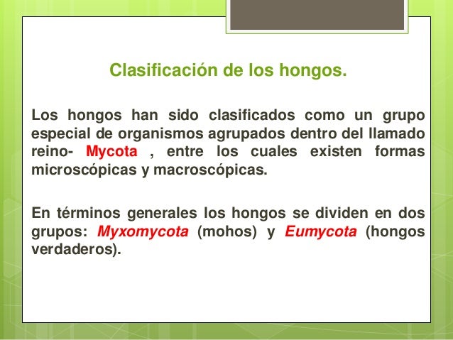 Ekzoderil las gotas el precio en voronezhe