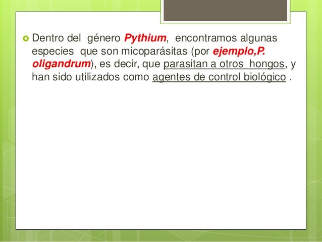 La medicina para uso interno del hongo de las uñas