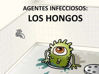 AGENTES INFECCIOSOS:
LOS HONGOS
 