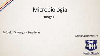 Microbiología
Hongos
Módulo IV Hongos y Levaduras
Sexto Cuatrimestre
 