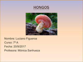 +
HONGOS
Nombre: Luciano Figueroa
Curso: 7º A
Fecha: 20/9/2017
Profesora: Mónica Sanhueza
 
