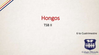 Hongos
TSB II
6 to Cuatrimestre
 