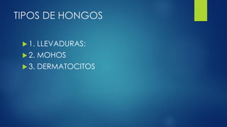 TIPOS DE HONGOS
 1. LLEVADURAS:
 2. MOHOS
 3. DERMATOCITOS
 