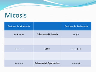 Micosis
Factores de Virulencia Factores de Resistencia
+ + + + Enfermedad Primaria + / -
+ - - - Sano + + + +
+ - - - Enfermedad Oportunista - - - +
 