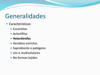 Generalidades
 Características:
 Eucariotas
 Aclorófilos
 Heterótrofos
 Aerobios estrictos
 Saprobionte o patógeno
 Uni o multicelulares
 No forman tejidos
 
