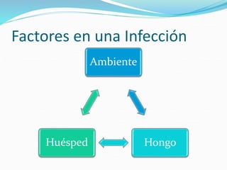 Factores en una Infección
Ambiente
Hongo
Huésped
 