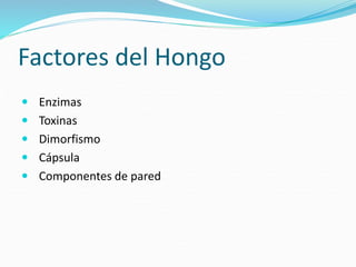 Factores del Hongo
 Enzimas
 Toxinas
 Dimorfismo
 Cápsula
 Componentes de pared
 