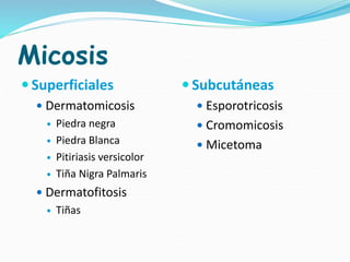 Micosis
 Superficiales
 Dermatomicosis
 Piedra negra
 Piedra Blanca
 Pitiriasis versicolor
 Tiña Nigra Palmaris
 Dermatofitosis
 Tiñas
 Subcutáneas
 Esporotricosis
 Cromomicosis
 Micetoma
 