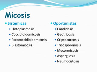 Micosis
 Sistémicas
 Histoplasmosis
 Coccidioidomicosis
 Paracoccidioidomicosis
 Blastomicosis
 Oportunistas
 Candidasis
 Geotricosis
 Criptococcosis
 Tricosporonosis
 Mucormicosis
 Aspergilosis
 Neumocistosis
 