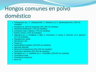 Hongos comunes en polvo
doméstico
 