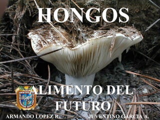 HONGOS ARMANDO LOPEZ R. JUVENTINO GARCIA A. ALIMENTO DEL FUTURO 