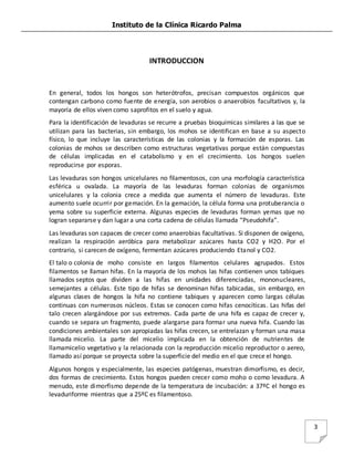 Instituto de la Clínica Ricardo Palma
3
INTRODUCCION
En general, todos los hongos son heterótrofos, precisan compuestos orgánicos que
contengan carbono como fuente de energía, son aerobios o anaerobios facultativos y, la
mayoría de ellos viven como saprofitos en el suelo y agua.
Para la identificación de levaduras se recurre a pruebas bioquímicas similares a las que se
utilizan para las bacterias, sin embargo, los mohos se identifican en base a su aspecto
físico, lo que incluye las características de las colonias y la formación de esporas. Las
colonias de mohos se describen como estructuras vegetativas porque están compuestas
de células implicadas en el catabolismo y en el crecimiento. Los hongos suelen
reproducirse por esporas.
Las levaduras son hongos unicelulares no filamentosos, con una morfología característica
esférica u ovalada. La mayoría de las levaduras forman colonias de organismos
unicelulares y la colonia crece a medida que aumenta el número de levaduras. Este
aumento suele ocurrir por gemación. En la gemación, la célula forma una protuberancia o
yema sobre su superficie externa. Algunas especies de levaduras forman yemas que no
logran separarse y dan lugar a una corta cadena de células llamada “Pseudohifa”.
Las levaduras son capaces de crecer como anaerobias facultativas. Si disponen de oxígeno,
realizan la respiración aeróbica para metabolizar azúcares hasta CO2 y H2O. Por el
contrario, si carecen de oxígeno, fermentan azúcares produciendo Etanol y CO2.
El talo o colonia de moho consiste en largos filamentos celulares agrupados. Estos
filamentos se llaman hifas. En la mayoría de los mohos las hifas contienen unos tabiques
llamados septos que dividen a las hifas en unidades diferenciadas, mononucleares,
semejantes a células. Este tipo de hifas se denominan hifas tabicadas, sin embargo, en
algunas clases de hongos la hifa no contiene tabiques y aparecen como largas células
continuas con numerosos núcleos. Estas se conocen como hifas cenocíticas. Las hifas del
talo crecen alargándose por sus extremos. Cada parte de una hifa es capaz de crecer y,
cuando se separa un fragmento, puede alargarse para formar una nueva hifa. Cuando las
condiciones ambientales son apropiadas las hifas crecen, se entrelazan y forman una masa
llamada micelio. La parte del micelio implicada en la obtención de nutrientes de
llamamicelio vegetativo y la relacionada con la reproducción micelio reproductor o aereo,
llamado así porque se proyecta sobre la superficie del medio en el que crece el hongo.
Algunos hongos y especialmente, las especies patógenas, muestran dimorfismo, es decir,
dos formas de crecimiento. Estos hongos pueden crecer como moho o como levadura. A
menudo, este dimorfismo depende de la temperatura de incubación: a 37ºC el hongo es
levaduriforme mientras que a 25ºC es filamentoso.
 