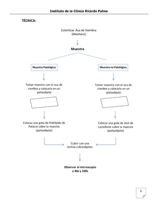 Instituto de la Clínica Ricardo Palma
6
TÉCNICA:
Tomar muestra con el asa de
siembra y colocarla en un
portaobjeto
Muestra
Muestra Patológica
Esterilizar Asa de Siembra
(Mechero)
Muestra no Patológica
Tomar muestra con el asa de
siembra y colocarla en un
portaobjeto
Colocar una gota de Hidróxido de
Potasio sobre la muestra
(portaobjeto)
Colocar una gota de Azul de
Lactofenol sobre la muestra
(portaobjeto)
Cubrir con una
lamina cubreobjetos
Observar al microscopio
a 40x y 100x
 