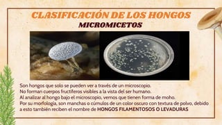 Hongos Micro MICRO HONGOS - MICROBIOLOGIA 1-2023.pptx